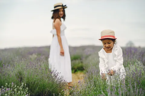 خلفية حقل الخزامى بدقة 4K · flowers · 3840×2560