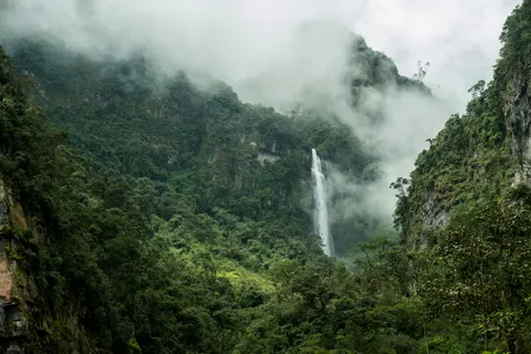 वर्षावन का झरना 4K वॉलपेपर · nature · 3840×2560