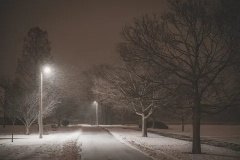 Обои Снегопад 4K · winter · 3840×2560