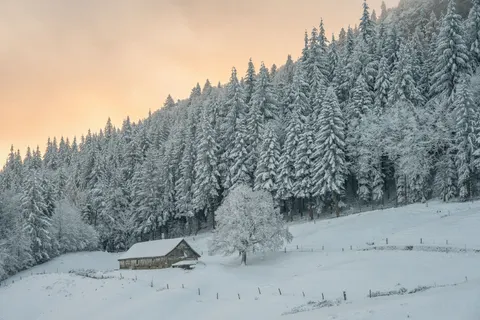 Sfondo Baita Innevata 4K · winter · 3840×2560