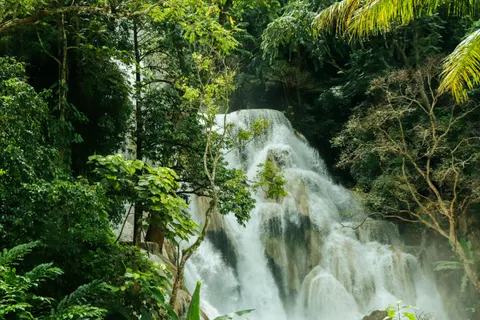 वर्षावन का झरना 4K वॉलपेपर · nature · 3840×2560