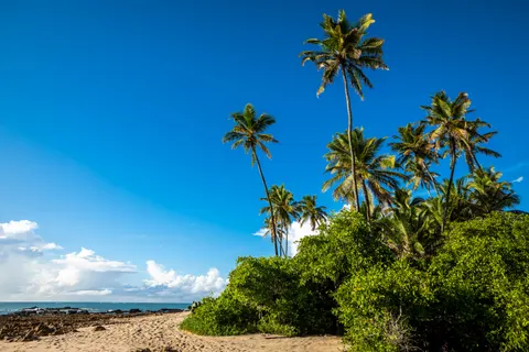 Hình nền Thiên Đường Nhiệt Đới 4K · tropical · 3840×2560