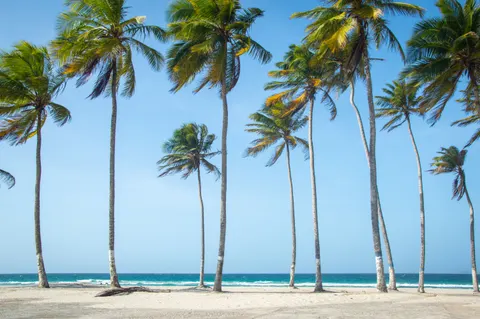Hình nền Thiên Đường Nhiệt Đới 4K · tropical · 3840×2553