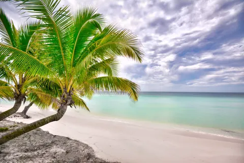 Tropisch Paradijs 4K-achtergrond · tropical · 3840×2560