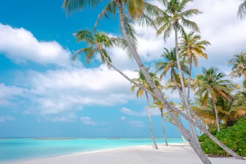 Tropisch Paradijs 4K-achtergrond · tropical · 3840×2563