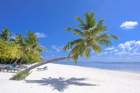Tropisch Paradijs 4K-achtergrond · tropical · 3840×2563