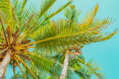 Tropisch Paradijs 4K-achtergrond · tropical · 3840×2560