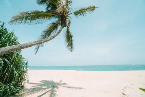 Tropisch Paradijs 4K-achtergrond · tropical · 3840×2560