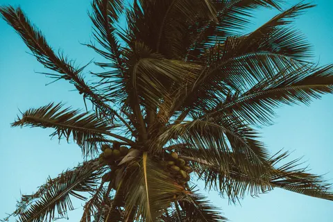 Tropisch Paradijs 4K-achtergrond · tropical · 3840×2560