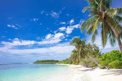 Tropisch Paradijs 4K-achtergrond · tropical · 3840×2563
