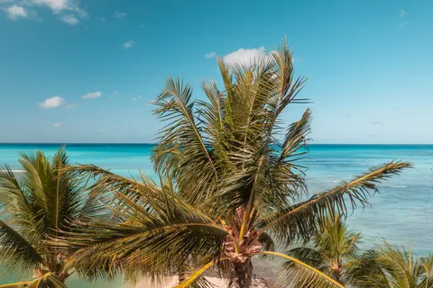 Tropisch Paradijs 4K-achtergrond · tropical · 3840×2558