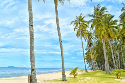 Tropisches Paradies 4K Hintergrundbild · tropical · 3840×2560