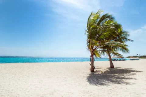 Tropical Paradise 4K Wallpaper · tropical · 3840×2553