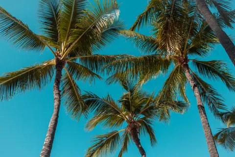 Tropisch Paradijs 4K-achtergrond · tropical · 3840×2560