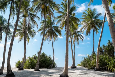 Fondo de pantalla Paraíso Tropical 4K · tropical · 3840×2560
