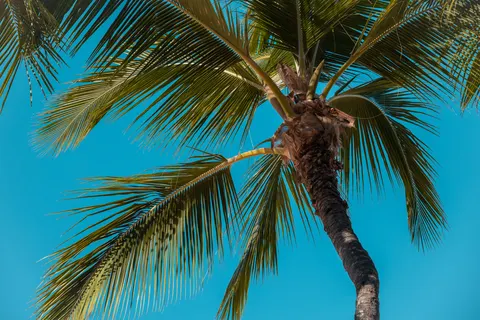 Tropisch Paradijs 4K-achtergrond · tropical · 3840×2560
