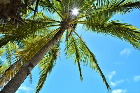 Tropical Paradise 4K Wallpaper · tropical · 3840×2553