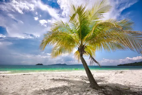 Hình nền Thiên Đường Nhiệt Đới 4K · tropical · 3840×2560