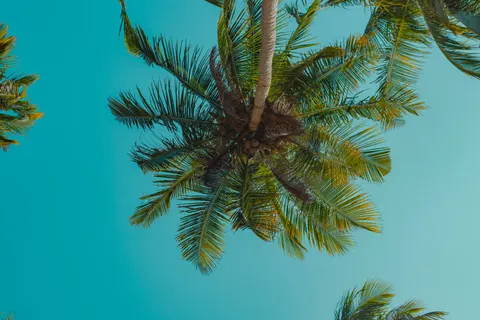 热带天堂 4K壁纸 · tropical · 3840×2560