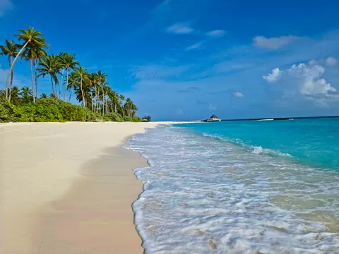 Tropisches Paradies 4K Hintergrundbild · tropical · 3840×2880