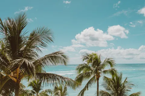 Tropical Paradise 4K Wallpaper · tropical · 3840×2558