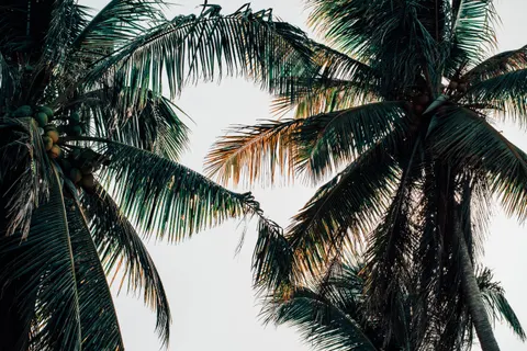 Tropisch Paradijs 4K-achtergrond · tropical · 3840×2560