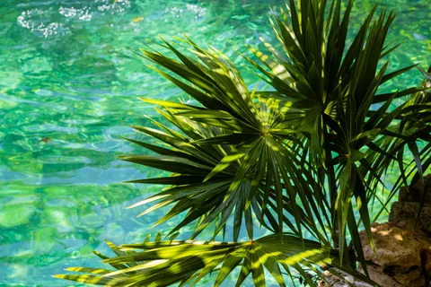 열대 낙원 4K 배경화면 · tropical · 3840×2560