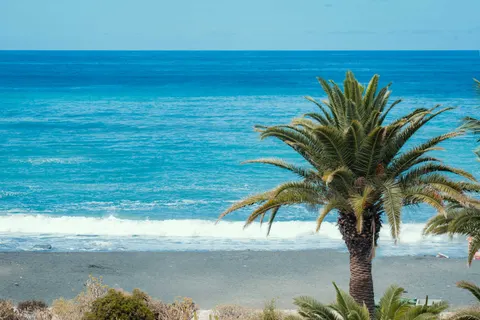 Wallpaper Surga Tropis 4K · tropical · 3840×2563
