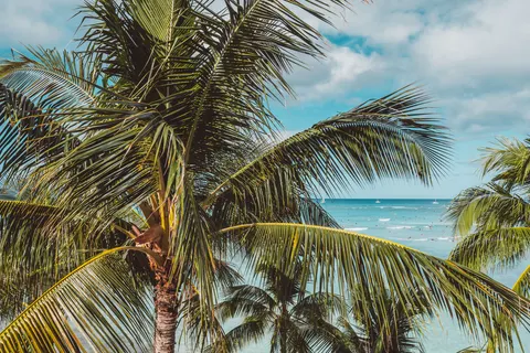 Hình nền Thiên Đường Nhiệt Đới 4K · tropical · 3840×2558