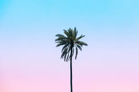 Tropical Paradise 4K Wallpaper · tropical · 3840×2560