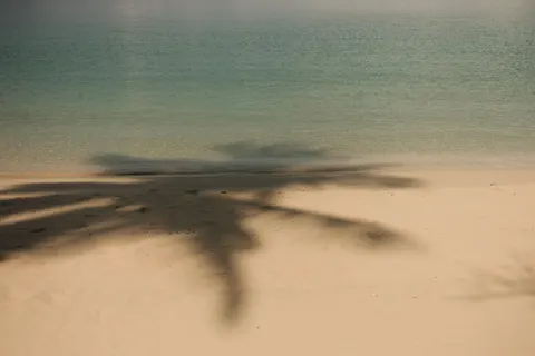 Tropical Paradise 4K Wallpaper · tropical · 3840×2560