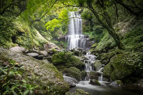 वर्षावन का झरना 4K वॉलपेपर · nature · 3840×2560