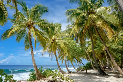 Tropisch Paradijs 4K-achtergrond · tropical · 3840×2563