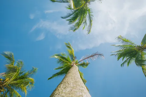 Tropisch Paradijs 4K-achtergrond · tropical · 3840×2560