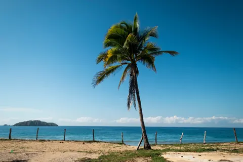 Fond d'écran Paradis tropical 4K · tropical · 3840×2560