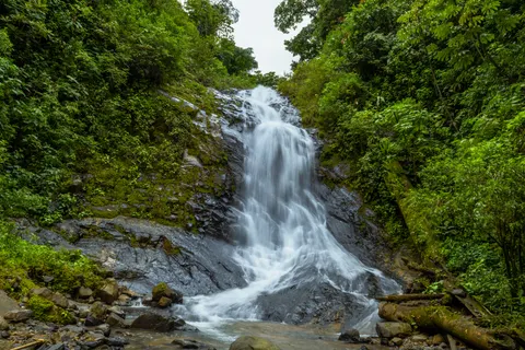 Fond d'écran Cascade en forêt tropicale 4K · nature · 3840×2560