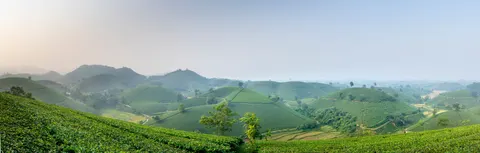 خلفية طبيعة بدقة 4K · nature · 3840×1226