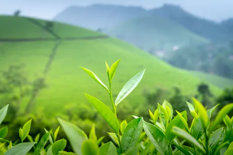 Natuur 4K-achtergrond · nature · 3840×2561