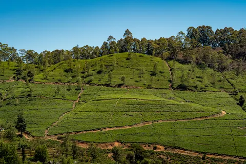 Sfondo Natura 4K · nature · 3840×2560
