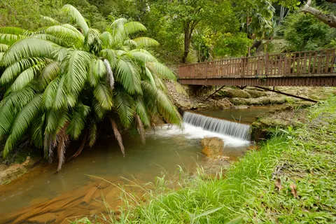 Hình nền Thác Nước Nhiệt Đới 4K · tropical · 3840×2560