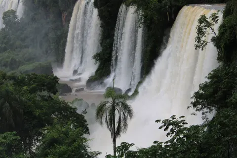 Rainforest Waterfall 4K Wallpaper · nature · 3840×2560