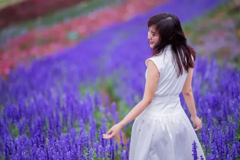 Lavender Field 4K Wallpaper · flowers · 3840×2560