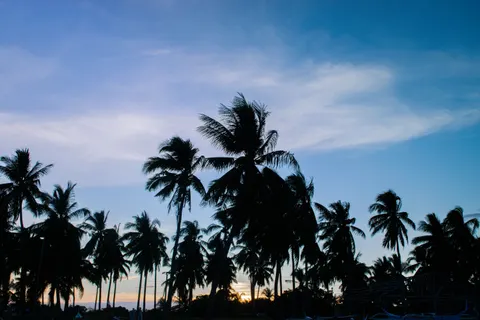 Fondo de pantalla Atardecer Tropical 4K · tropical · 3840×2560