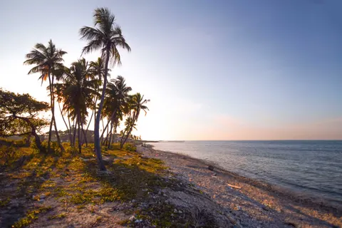 والپیپر غروب استوایی با کیفیت 4K · tropical · 3840×2560