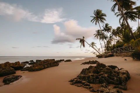 Fondo de pantalla Atardecer Tropical 4K · tropical · 3840×2561