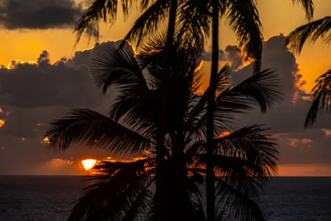 Tropical Sunset 4K Wallpaper · tropical · 3840×2560