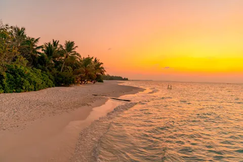 Tropical Sunset 4K Wallpaper · tropical · 3840×2560