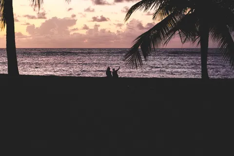 والپیپر غروب استوایی با کیفیت 4K · tropical · 3840×2560