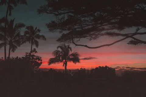 Tropical Sunset 4K Wallpaper · tropical · 3840×2560