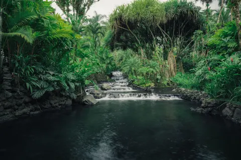 Rainforest Waterfall 4K Wallpaper · nature · 3840×2560